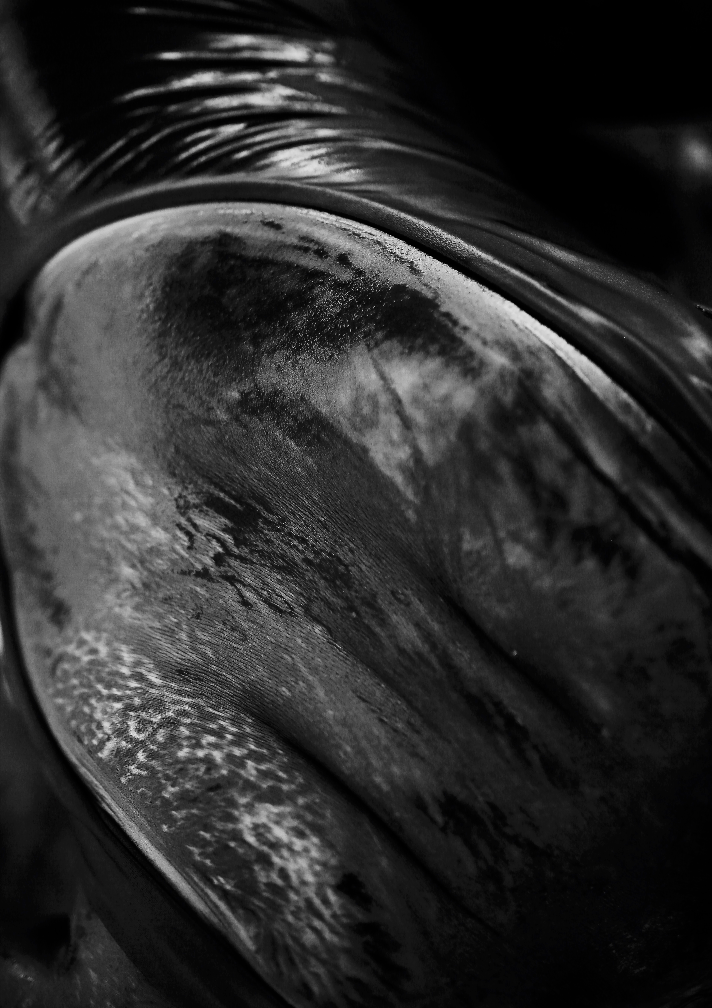 PETROL WALTZ III